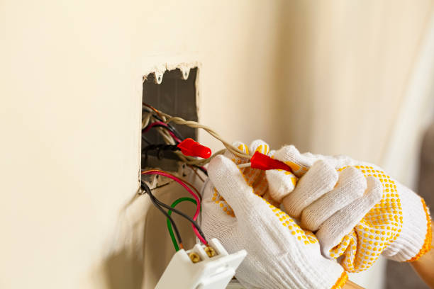 Best Electrical Maintenance Services  in Key Vista, FL